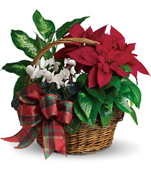 Holiday Homecoming from Metropolitan Plant & Flower Exchange, local NJ florist